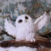 Snowy Delight 20.5cm Owls Gifts Under £100
