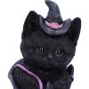 Mischievous Familiar 18.5cm Cats Gifts Under £100