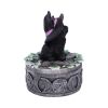 Ivy Familiar Box 15cm Cats Boxes