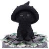 Ivy Familiar Box 15cm Cats Gifts Under £100