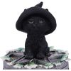 Ivy Familiar Box 15cm Cats Boxes