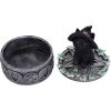 Ivy Familiar Box 15cm Cats Boxes