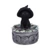 Ivy Familiar Box 15cm Cats Gifts Under £100