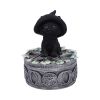 Ivy Familiar Box 15cm Cats Boxes