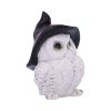 Snowy Spells 9cm Owls Gifts Under £100