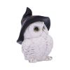 Snowy Spells 9cm Owls Stock Arrivals