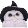 Snowy Spells 9cm Owls Stock Arrivals