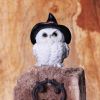 Snowy Spells 9cm Owls Stock Arrivals