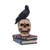 Raven's Spell 10.3cm Ravens Stock Arrivals