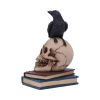 Raven's Spell 10.3cm Ravens Stock Arrivals