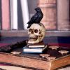 Raven's Spell 10.3cm Ravens Stock Arrivals