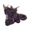 Nature's Kiss 22.3cm Dragons Dragon Figurines