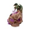 Crystalline Cranium 15.7cm Dragons Dragons