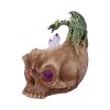 Crystalline Cranium 15.7cm Dragons Dragon Figurines