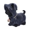 Reapers Kitty 15.5cm Cats Last Chance to Buy