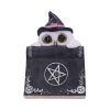 Owl's Spell 15cm Owls Gifts Under £100