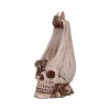 Dragon Within Backflow Incense Burner 23.5cm Skulls April Flash Sale Day 3