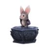 Batty Box 15.2cm Bats April Flash Sale Day 5