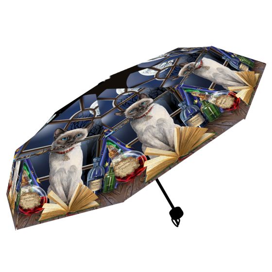 Hocus Pocus Umbrella (LP) Cats Sale Items