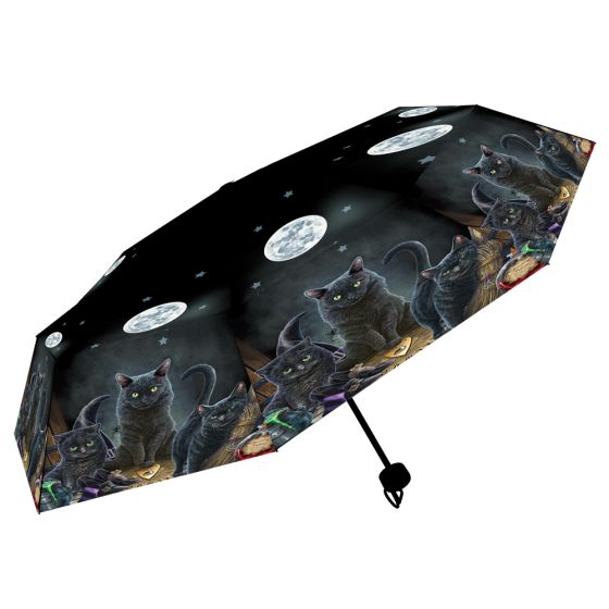 Familiars Umbrella (LP) Cats Last Chance to Buy