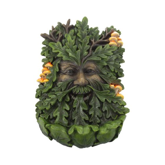 Elderwood 23.8cm Tree Spirits Gifts Under £100
