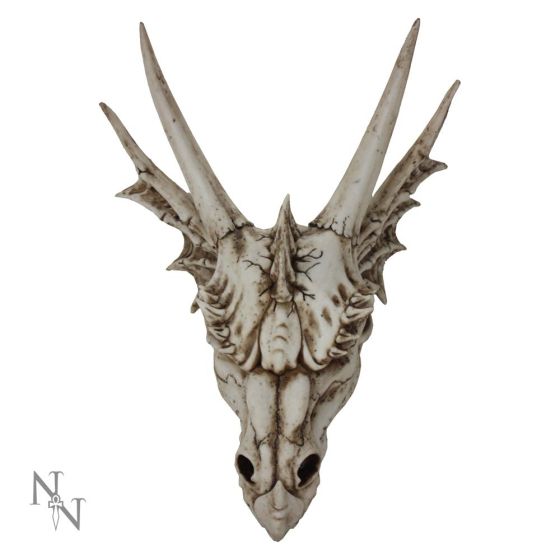 The Last Dragon Skull 32cm Skulls Statues Large (30cm to 50cm)