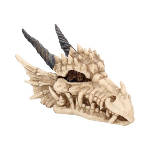 Dragon Skull Box 20cm Skulls Back in Stock