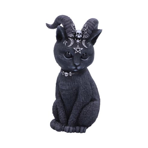 Pawzuph 11cm Cats Best Sellers