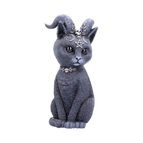 Pawzuph 26.5cm (Large) Cats Back in Stock