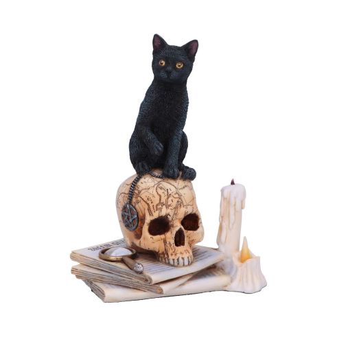 Spirits of Salem (LP) 16.5cm Cats Gifts Under £100