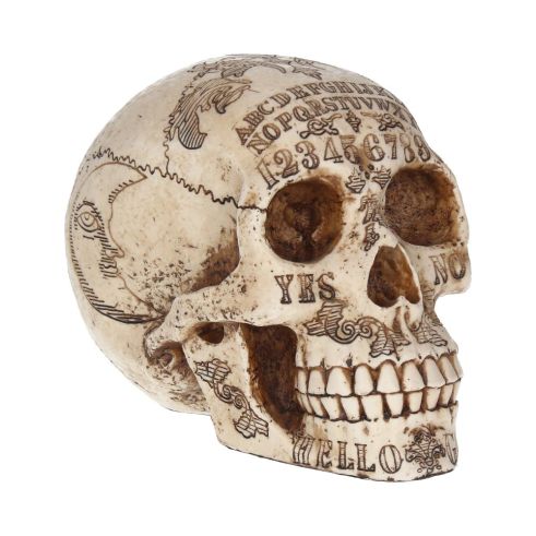 Spirits 20cm Skulls Stock Arrivals