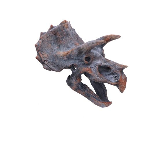 Triceratops Head 23cm Dinosaurs Out Of Stock