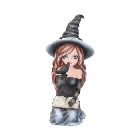 Regan 15cm Witches Stock Arrivals