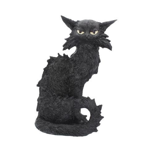Salem 32.5cm Cats Every Day Is Halloween