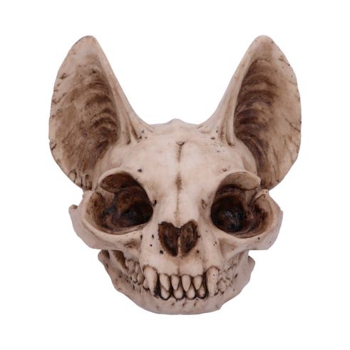 Bastet's Secret 15cm Animal Skulls Gifts Under £100