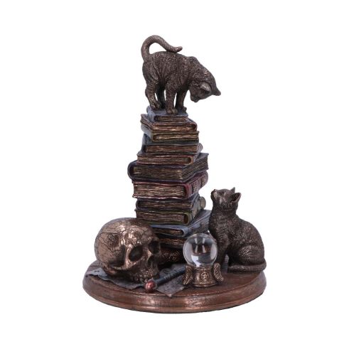 Feline Scholars 18cm Cats Stock Arrivals
