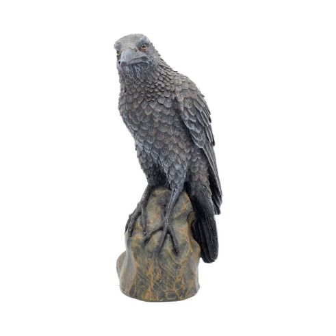 Ravens Rest 16cm Ravens Back in Stock