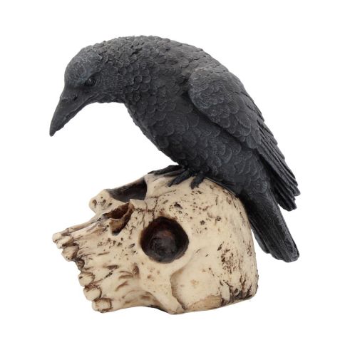 Ravens Remains 13cm Ravens Gifts Under £100