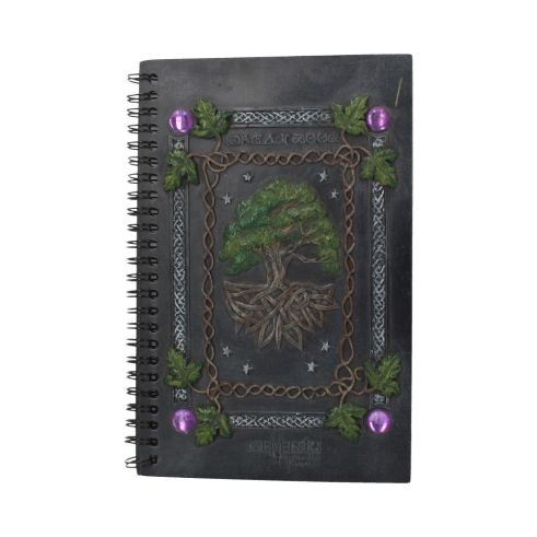 Dream Book (21cm) Witchcraft & Wiccan Gifts Under £100