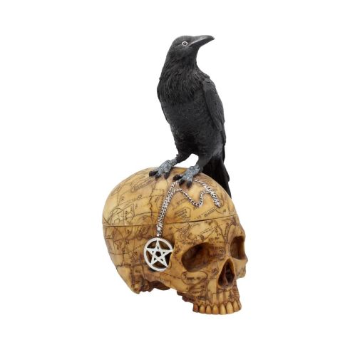 Salems Familiar 27cm Skulls Gifts Under £100