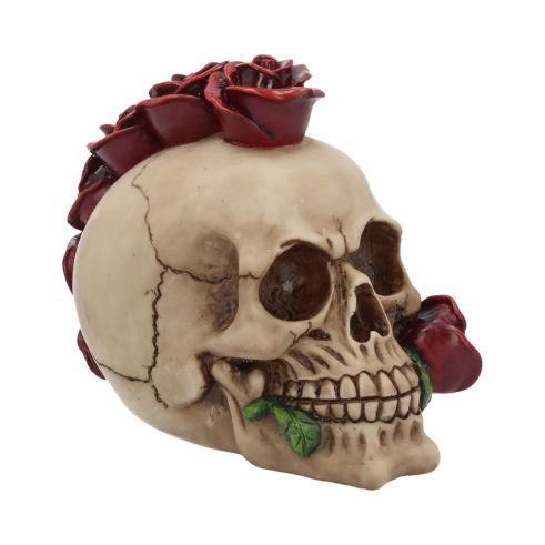 Rosehawk 16cm Skulls Stock Arrivals