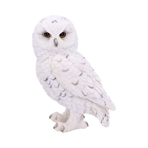 Snowy Watch Small 13.3cm Owls Back in Stock