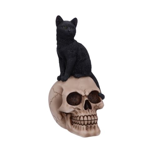 Familiar Fate 24.3cm Cats Stock Arrivals