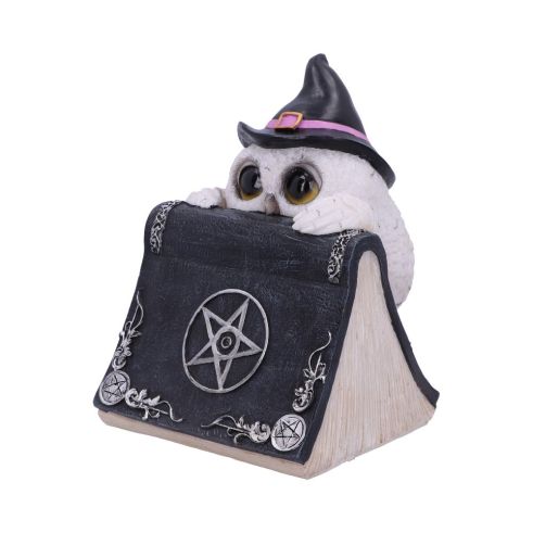 Owl's Spell 15cm Owls Gifts Under £100