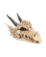 Dragon Skull Box 20cm Skulls Stock Arrivals