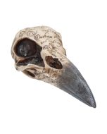 Edgar's Raven Skull 21cm Animal Skulls Out Of Stock