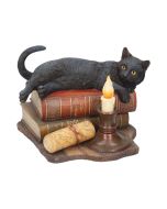 The Witching Hour (LP) 20.5cm Cats Gifts Under £100