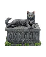 Fortune's Watcher Tarot Box 17cm Cats Gifts Under £100