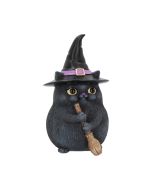 Lucky Black Cat 12cm Cats Coming Soon |