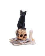 Spirits of Salem (LP) 16.5cm Cats Gifts Under £100